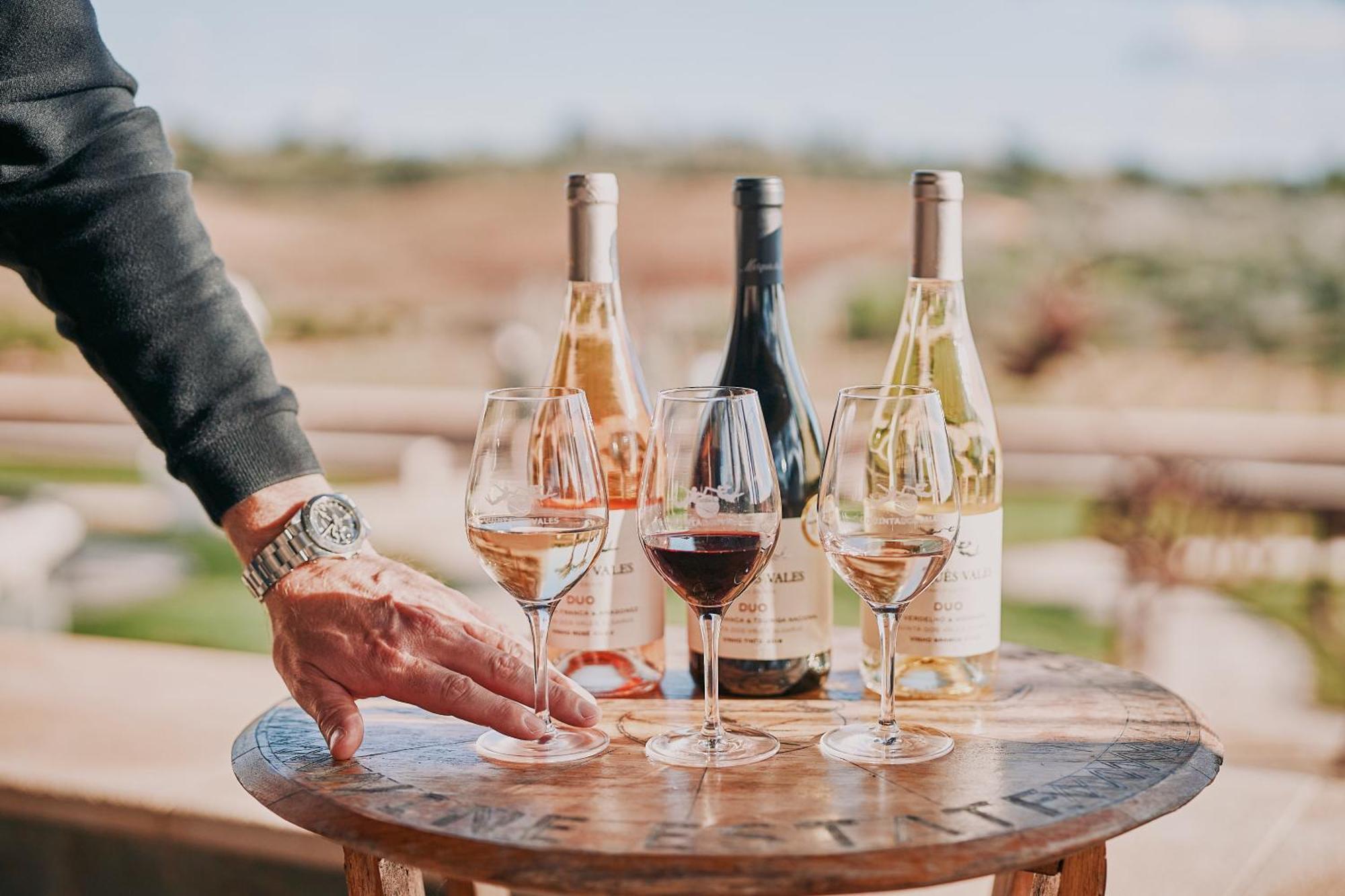 Гостевой дом Quinta Dos Vales Wine Estate Эштомбар Экстерьер фото