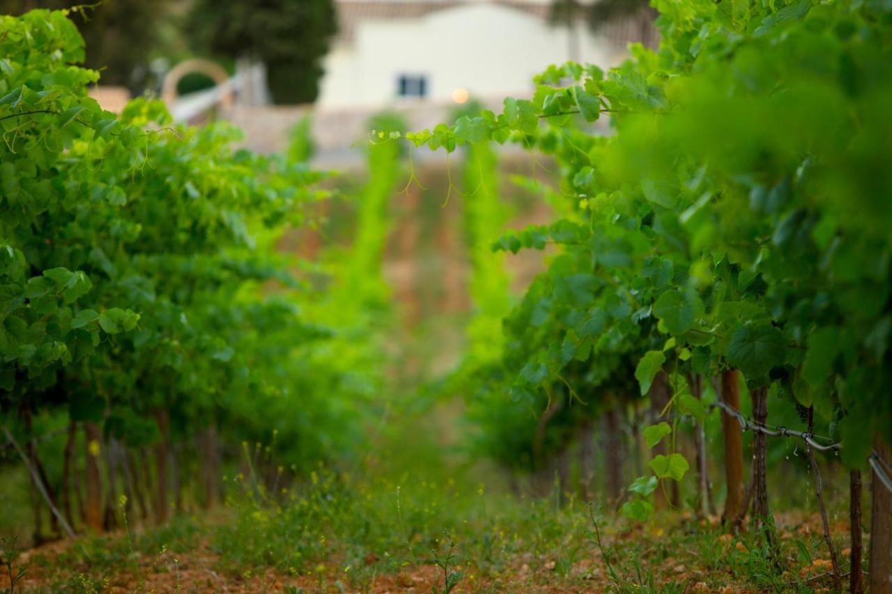 Гостевой дом Quinta Dos Vales Wine Estate Эштомбар Экстерьер фото